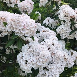 Meet your Posher, Olga